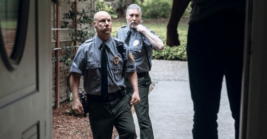 police at home domestic violence